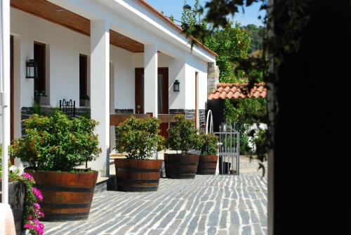 une rangée de plantes en pot en face d’un bâtiment dans l'établissement Casa Relogio de Sol, à Lamego