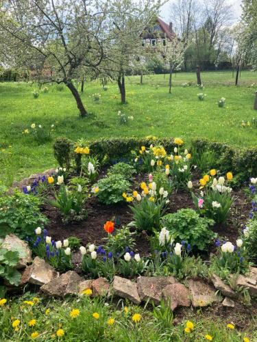a garden of flowers in a park at Forsthaus in Waldhessen in Bauhaus