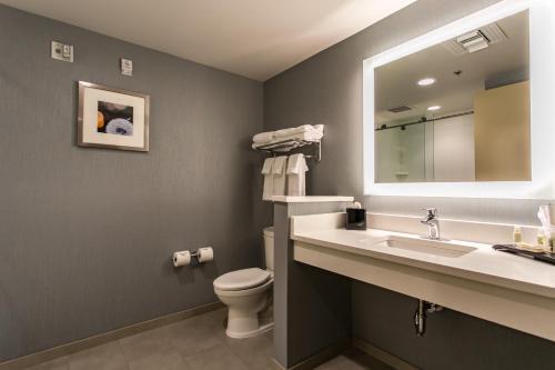 W łazience znajduje się umywalka, toaleta i lustro. w obiekcie Holiday Inn Hotel & Suites Chattanooga, an IHG Hotel w mieście Chattanooga