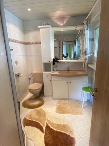 a bathroom with a toilet and a sink and a mirror at Gästehaus Waltraud in Längenfeld
