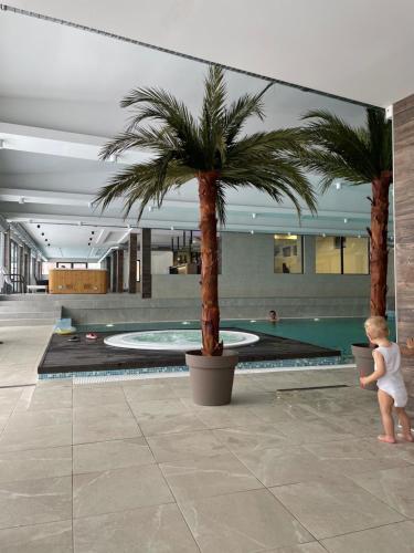 Zlatna Kruna - Lux Apartments Kopaonik في كوباونيك: طفل يقف بجانب شجرتي نخيل في حمام السباحة