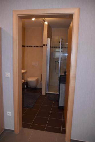 La salle de bains est pourvue d'une douche et de toilettes. dans l'établissement Ferienwohnung an der Obermosel, à Oberbillig
