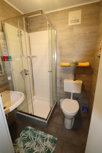 a bathroom with a shower and a toilet and a sink at Gästehaus Ulbl in Kitzeck im Sausal