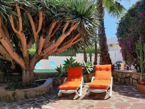 dos sillas naranjas sentadas junto a una palmera en Villa Limon - Tropical Oasis with Private Pool, en Jávea