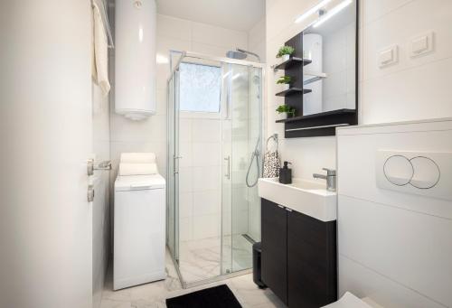 Castropola City Center Apartment