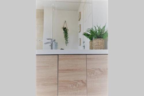 a kitchen with white walls and wooden cabinets with plants at Paradise St Apartment Top Floor 3 flights of stairs 3 bed 1 bathroom in Rhyl