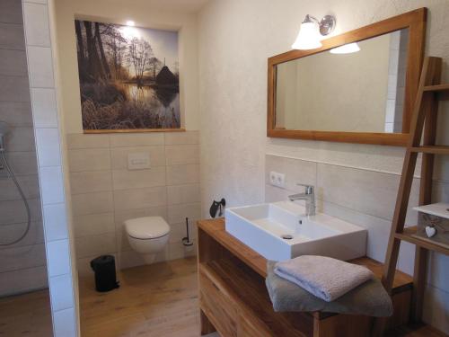 W łazience znajduje się umywalka, toaleta i lustro. w obiekcie Landhaus Huchatz w mieście Burg