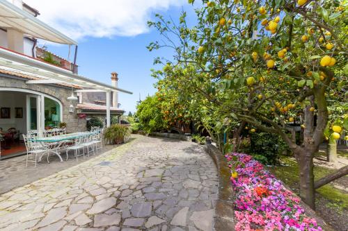 Κήπος έξω από το Villa Maresca B&B