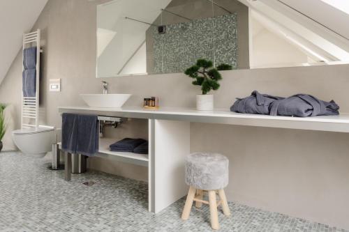 a bathroom with a counter with a sink and a toilet at Zabjak5 in Ljubljana