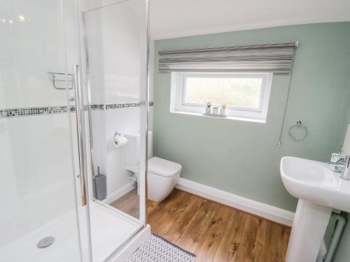 a bathroom with a shower and a toilet and a sink at Afallon in Betws-y-coed