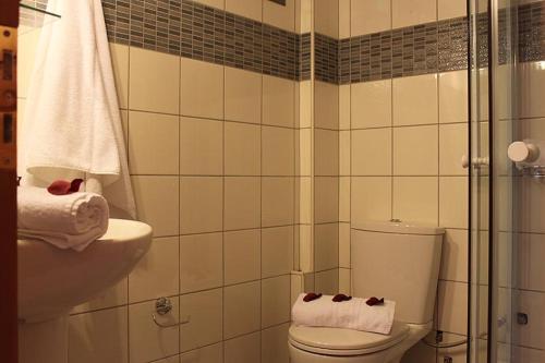 卡拉米奇的住宿－Panoramic View，浴室配有卫生间、盥洗盆和淋浴。