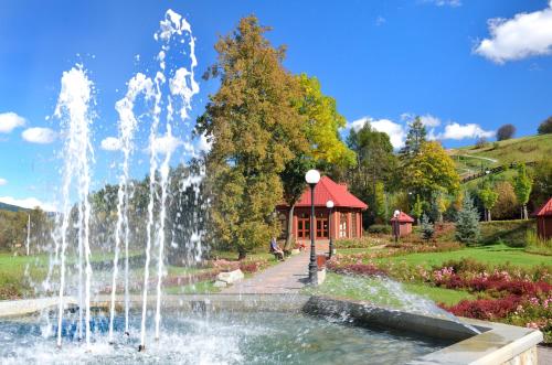 Taman di luar Pensjonat Klimek