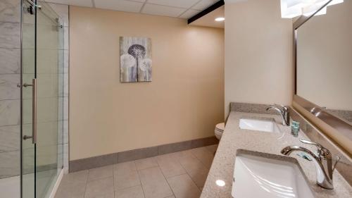 a bathroom with a toilet and a sink and a shower at Best Western Plaza Inn in Pigeon Forge