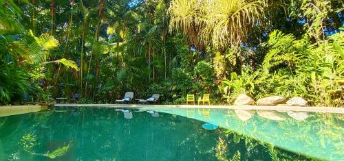a swimming pool with two chairs and palm trees at Daintree Rainforest Retreat Motel in Cape Tribulation