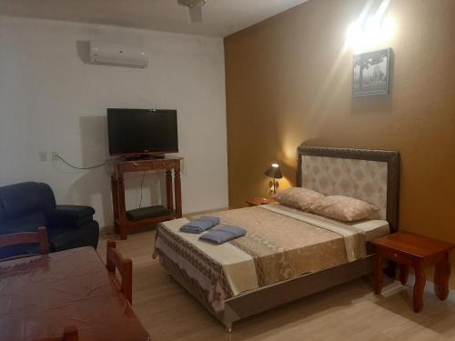 1 dormitorio con 1 cama, TV y silla en La Esperanza en Piribebuy