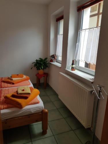 Pokój z 2 łóżkami i oknem w obiekcie Ferienwohnung Burgenblick w mieście Thale