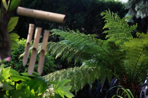 a green fern plant next to a wooden fence at Eco Hotel Ariston in Malcesine