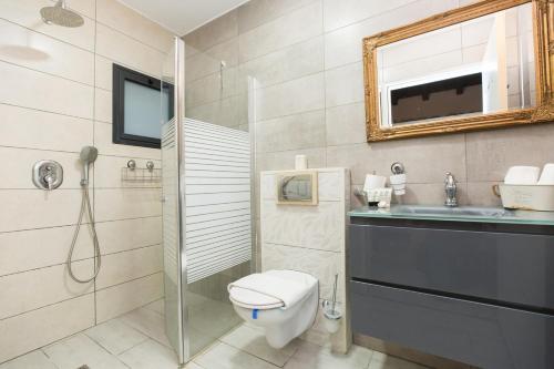 a bathroom with a shower and a toilet and a sink at אחוזת שקד in Mishmār Hāyardin