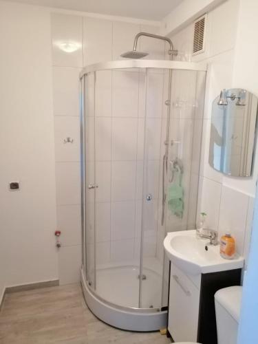 a bathroom with a shower and a sink at Apartament Tygrysek in Ustka