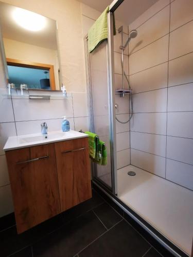 a bathroom with a sink and a shower at Gästehaus Andrea Blatt in Bruttig-Fankel