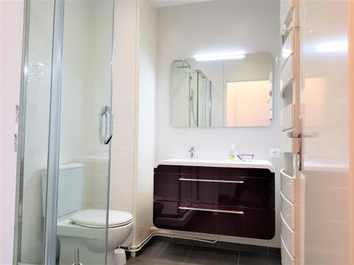 uma casa de banho com um lavatório, um WC e um espelho. em Escale marine à Calais 4 étoiles em Calais