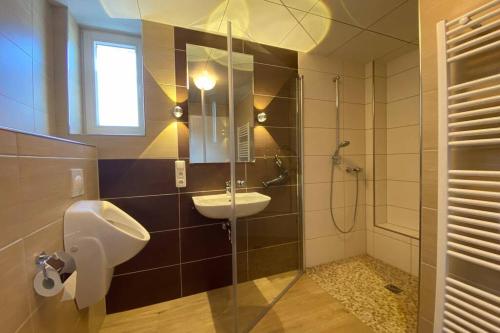 a bathroom with a sink and a toilet and a shower at Das alte Zollhäuschen in Bad Laasphe