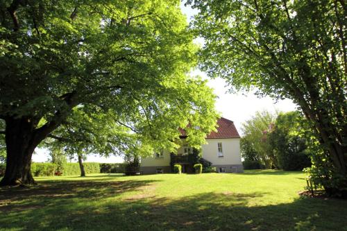 ein Haus auf einem Feld mit Bäumen im Vordergrund in der Unterkunft Ferienhaus Ratteyer Idyll in Schönbeck