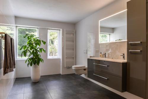 baño con lavabo, aseo y planta en B&B Eikendreef, en Haelen