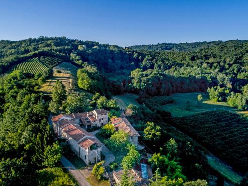 an aerial view of a house in a vineyard at Holiday Home Borgo del Riondino by Interhome in Trezzo Tinella