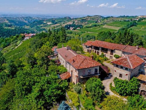 an aerial view of an estate in a vineyard at Holiday Home Antico Borgo del Riondino by Interhome in Trezzo Tinella