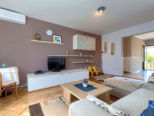 a living room with a couch and a tv at Holiday Home Dora by Interhome in Modrušani