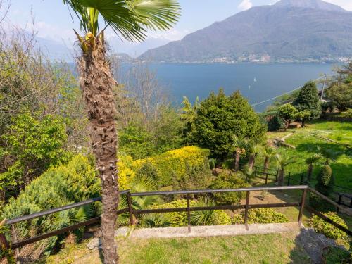 una palmera en un jardín con vistas al lago en Holiday Home Giulietta by Interhome en Pianello Del Lario