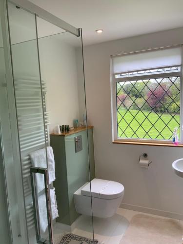 a bathroom with a toilet and a shower and a window at West Lodge B&B in Hailsham