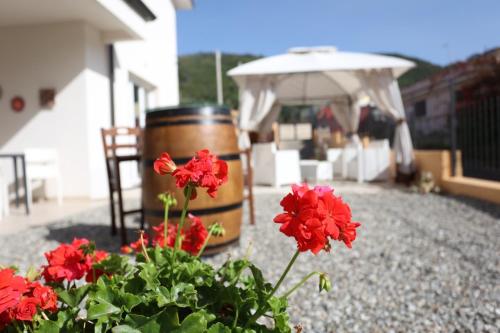 a group of red flowers sitting next to a barrel at Residenza Atena Tropea in Tropea
