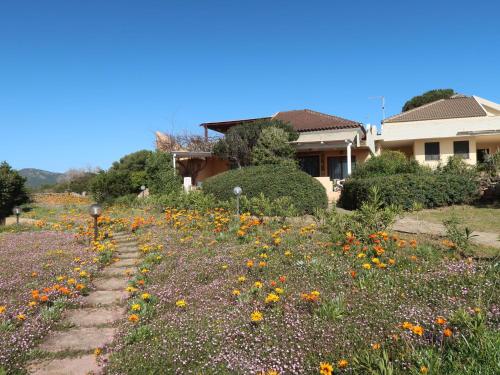 un campo di fiori di fronte a una casa di Apartment Vista Tavolara 2 by Interhome a Pittulongu