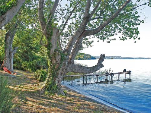 un árbol sentado en un muelle junto a un cuerpo de agua en Apartment Podere Sant' Antonio-3 by Interhome, en Bolsena