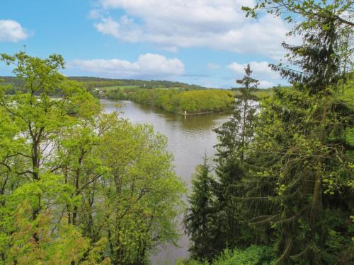 a view of a river through the trees at Holiday Home Neznašov by Interhome in Neznašov