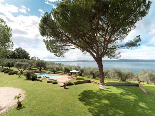 una vista aérea de un parque con un árbol y una piscina en Apartment L'Essiccatoio-2 by Interhome, en Bolsena