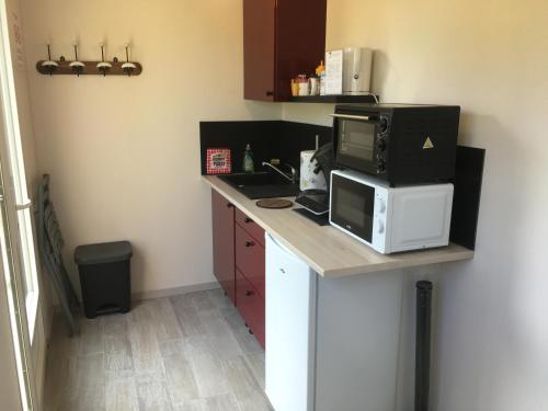 a kitchen with a counter top with a microwave and a microwave at Le Clos de l'Abré in Gatteville-le-Phare