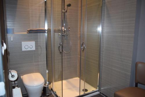 a bathroom with a shower and a toilet at Lennox in Maaseik