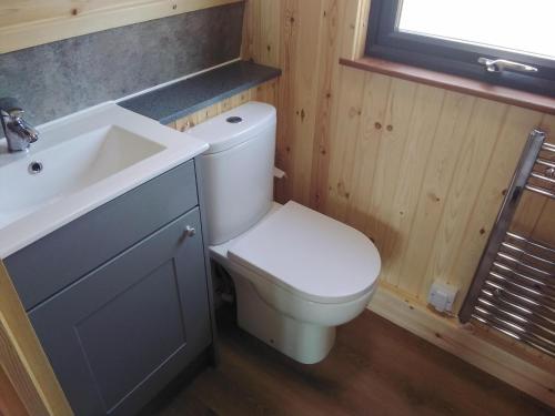a bathroom with a white toilet and a sink at Glamping Pods in Cromer