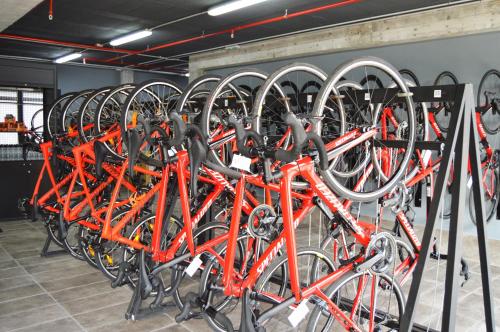 a bunch of orange bikes parked in a rack at Bordoy Cosmopolitan in Playa de Palma