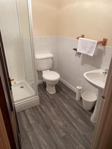 a bathroom with a toilet and a sink at Bertie Pontypridd in Trehafod