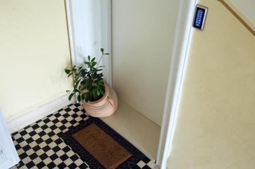 a potted plant sitting on a floor next to a door at Garden Luxury Rooms in Split