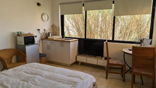 a bedroom with a bed and a tv and two windows at Olives in Arad