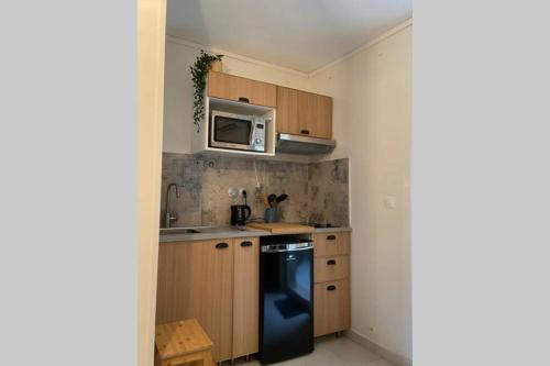 La cuisine est équipée d'un réfrigérateur noir et d'un four micro-ondes. dans l'établissement Studio au cœur de la ville d’Arles, à Arles