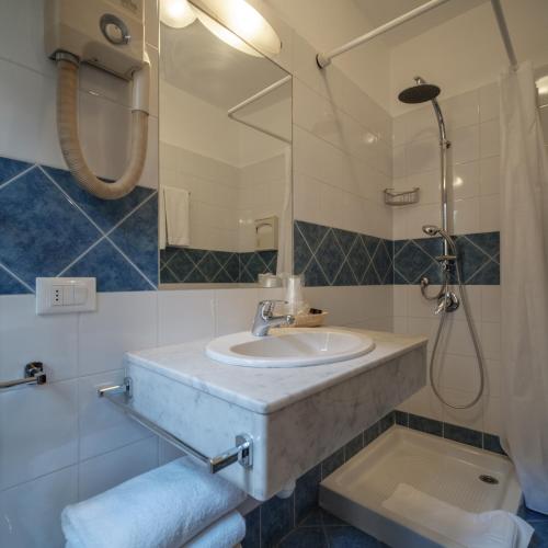 a bathroom with a sink and a shower and a mirror at Hotel Italia in Turin