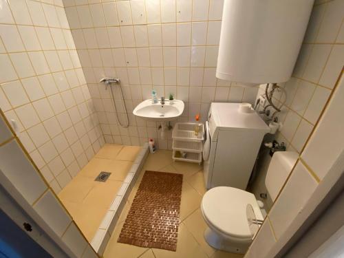 a small bathroom with a toilet and a sink at Kolokán vendégház in Sarud