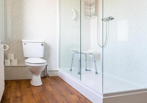 La salle de bains est pourvue de toilettes et d'une douche en verre. dans l'établissement Apartment 16, à Castle Douglas