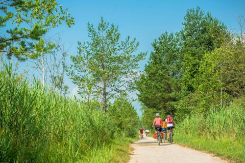 a group of people riding bikes down a dirt road at Gästehaus Trink B&B in Drobollach am Faakersee